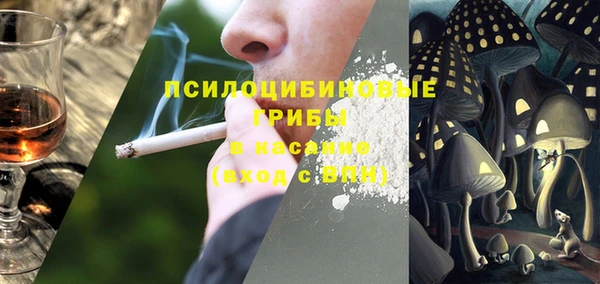 бошки Абаза