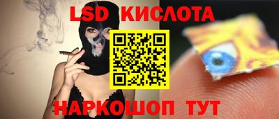 твердый Пугачёв
