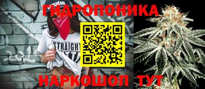твердый Пугачёв